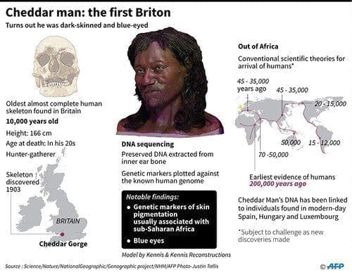 The Cheddar Man